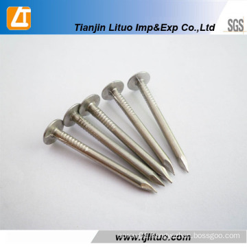 Three Times Shank Diameter Clout Big Head Galvanized Nail